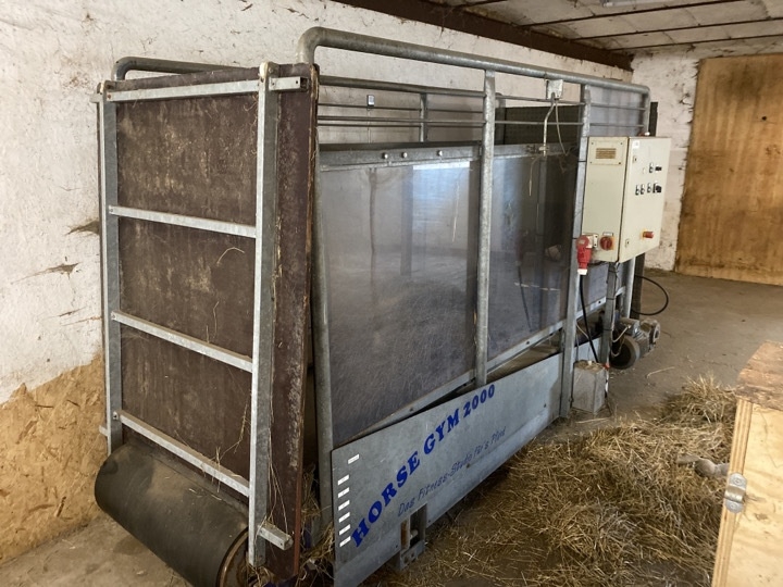 Horse Gym 2000